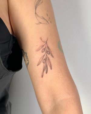 A stunning hand-poked dotwork tattoo of a detailed olive branch, done by Alina Wiltshire.