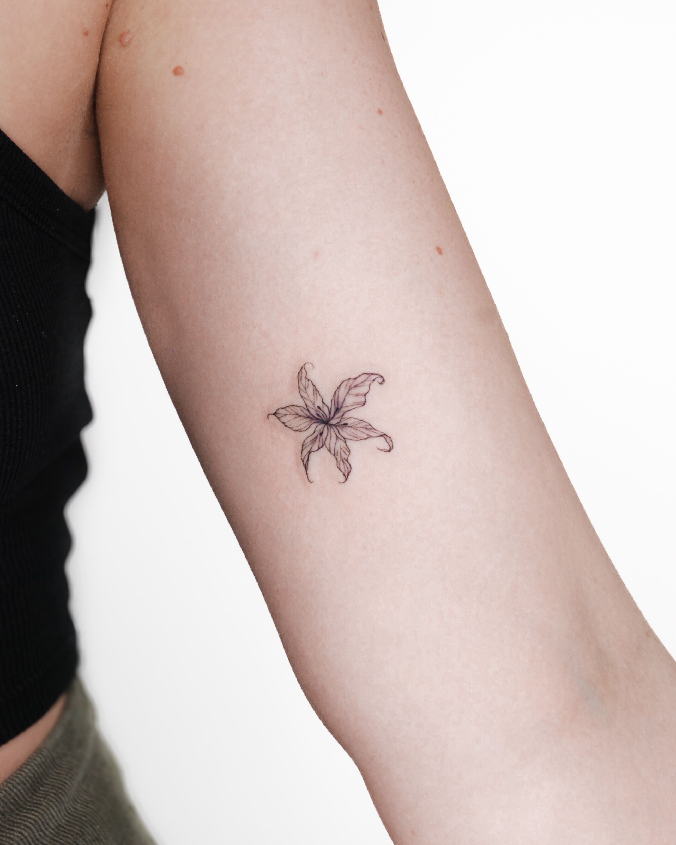 Small Lily • Tattoodo