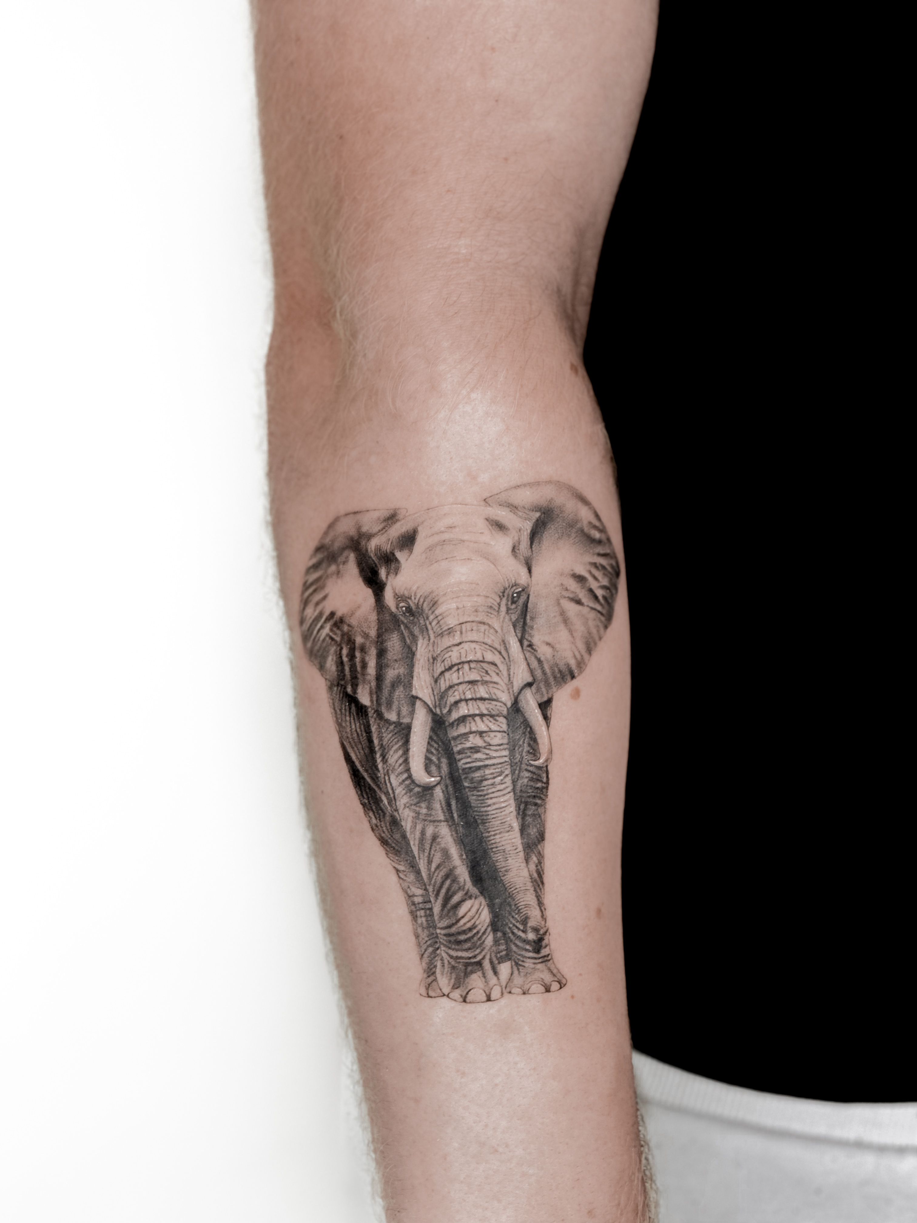 Abstract elephant tattoo located on the inner arm.