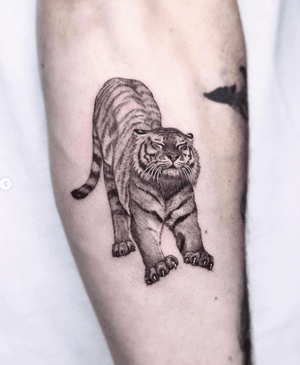Fine line tiger tattoo