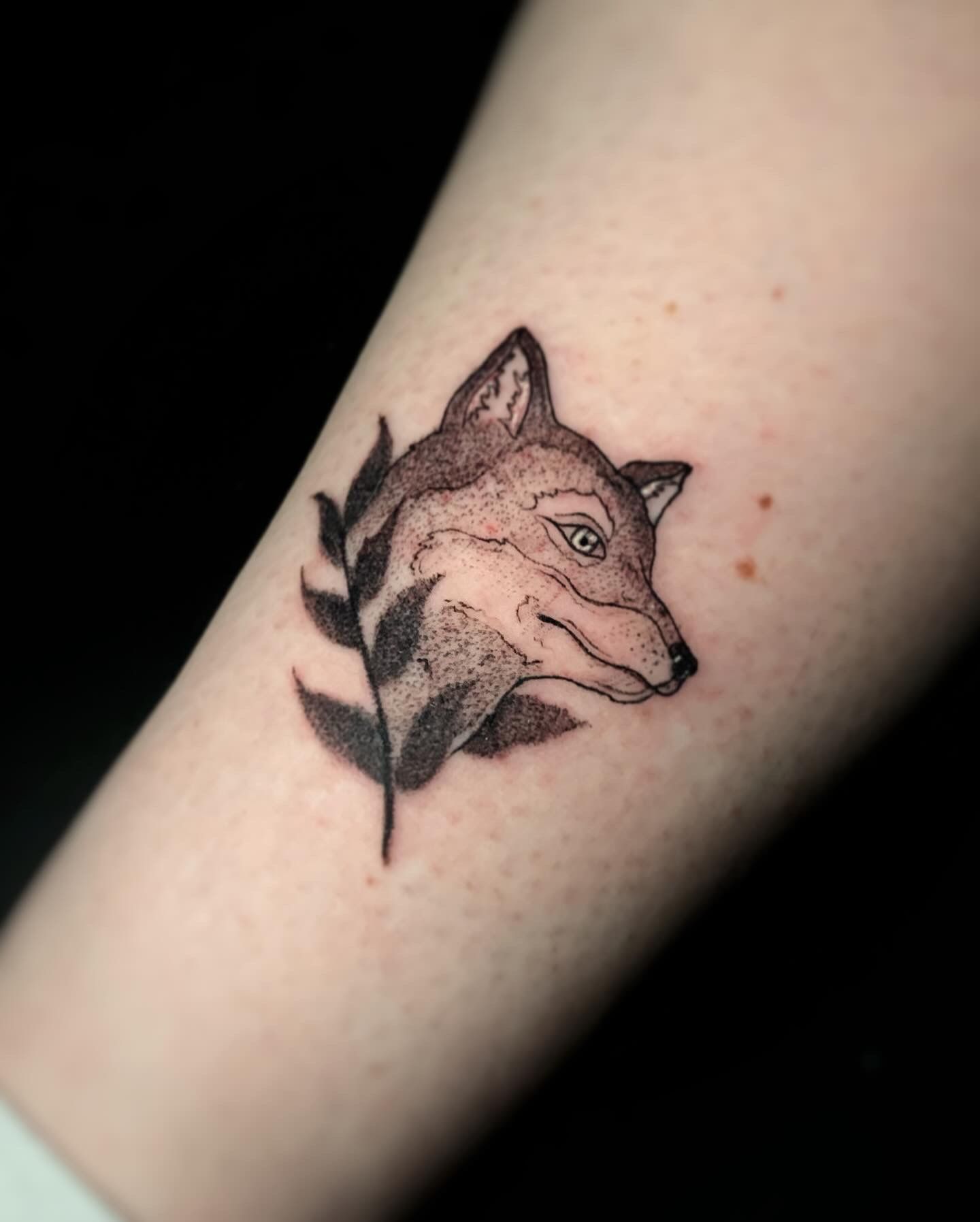 Badger King Tattoo - An Sionnach The Fox I would love to tattoo this or  something like it. Get at me. Manchester, UK. #celtic #norse #viking #fox  #wolf #wolftattoo #foxtattoo #vikingtattoo #celtictattoo #