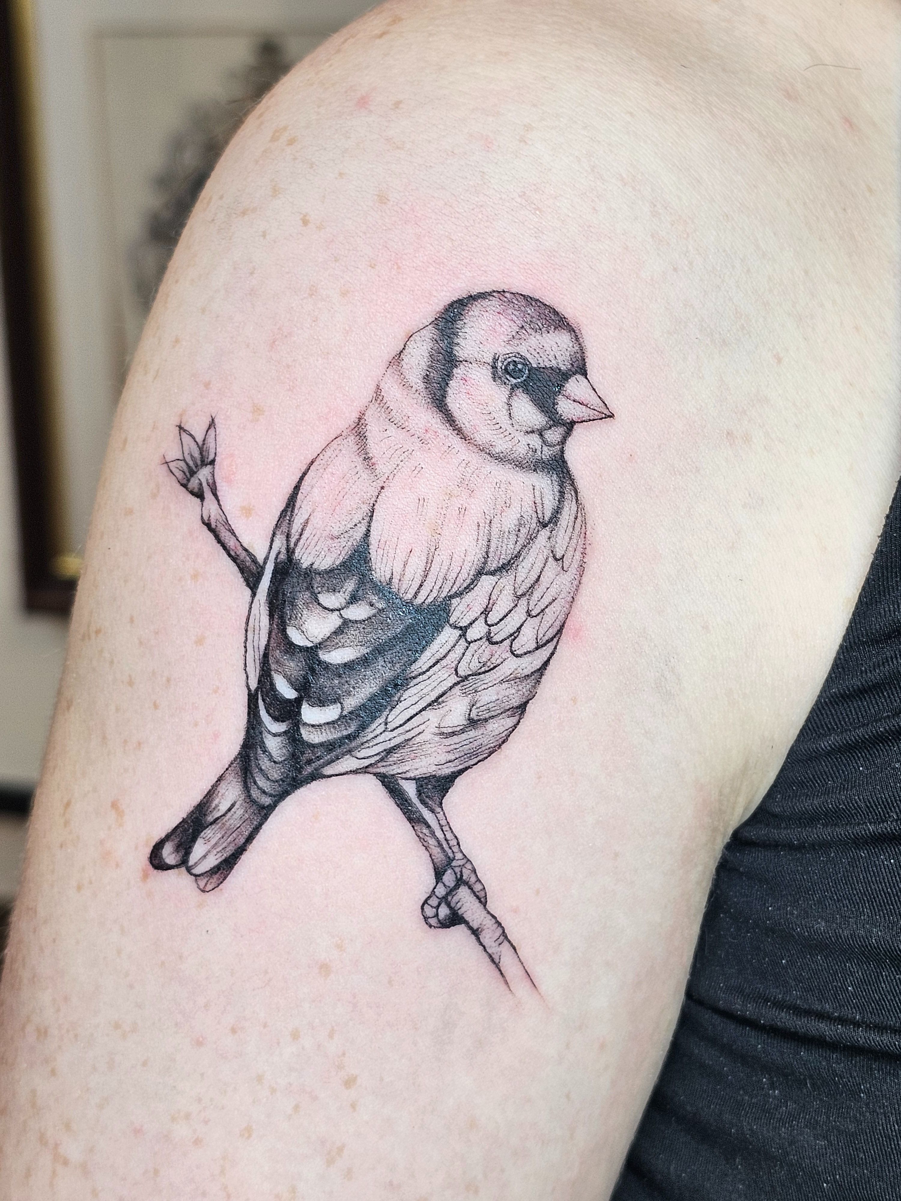 Sparrow Tattoo- Ace Tattooz | Best Tattoo Studio in Mumbai India