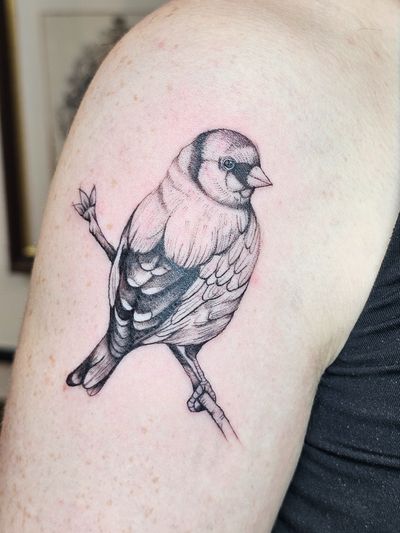 Capture the beauty of nature with this detailed illustrative bird tattoo by the talented artist Katia Barria.