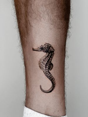 Get a stunning black and gray seahorse tattoo with intricate details by the talented artist Carolina Feodorov.