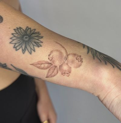 Experience the delicate beauty of dotwork and micro realism with a hand-poked blueberry tattoo by Alina Wiltshire.