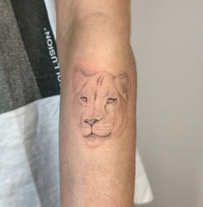 Unique hand-poked design by Alina Wiltshire featuring stunning dotwork detailing of a lion and lioness.