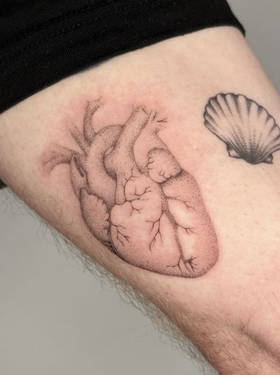 Hand-poked micro-realism by Alina Wiltshire, showcasing intricate detailing and a unique design of an anatomical heart.