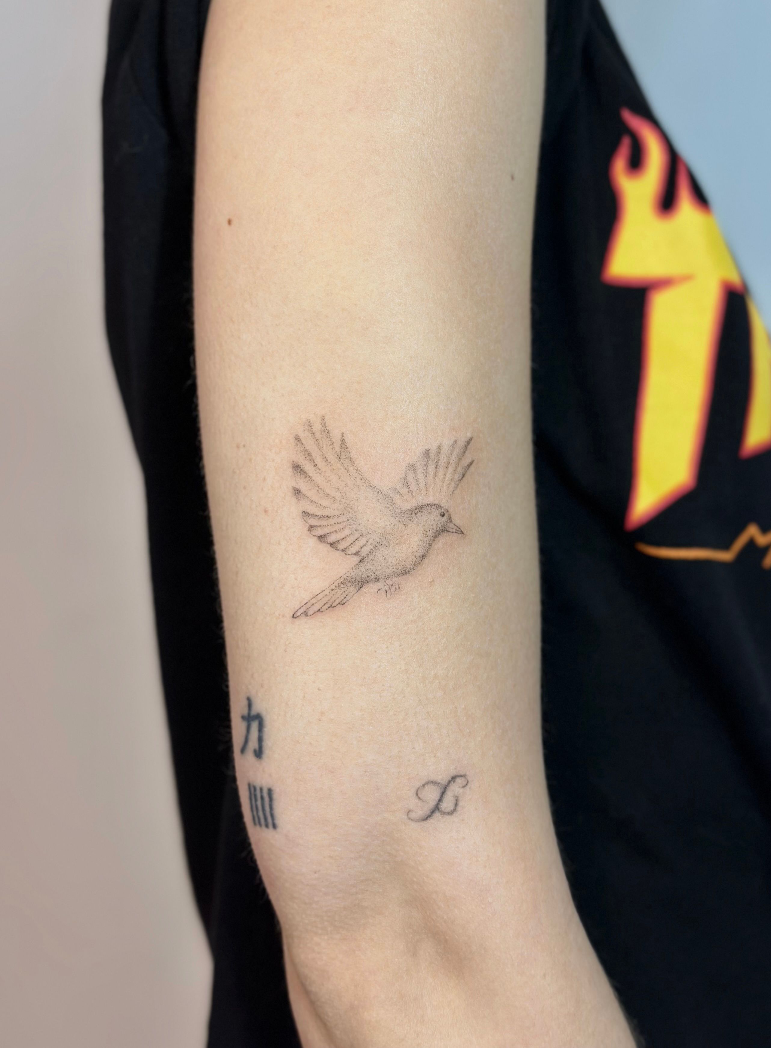 Flying Birds Temporary Tattoo Set (3 small tattoos) – TattooIcon