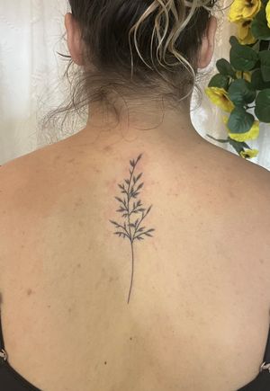 Hand-poked design by Marketa handpoke, featuring a delicate branch motif created in intricate dotwork style.