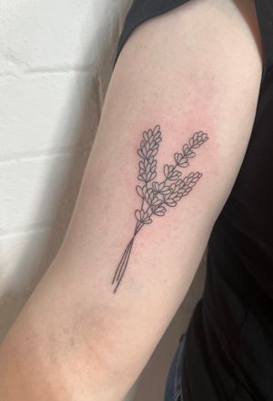 Elegant fine line tattoo by Marketa.handpoke featuring a delicate lavender flower sprig design.