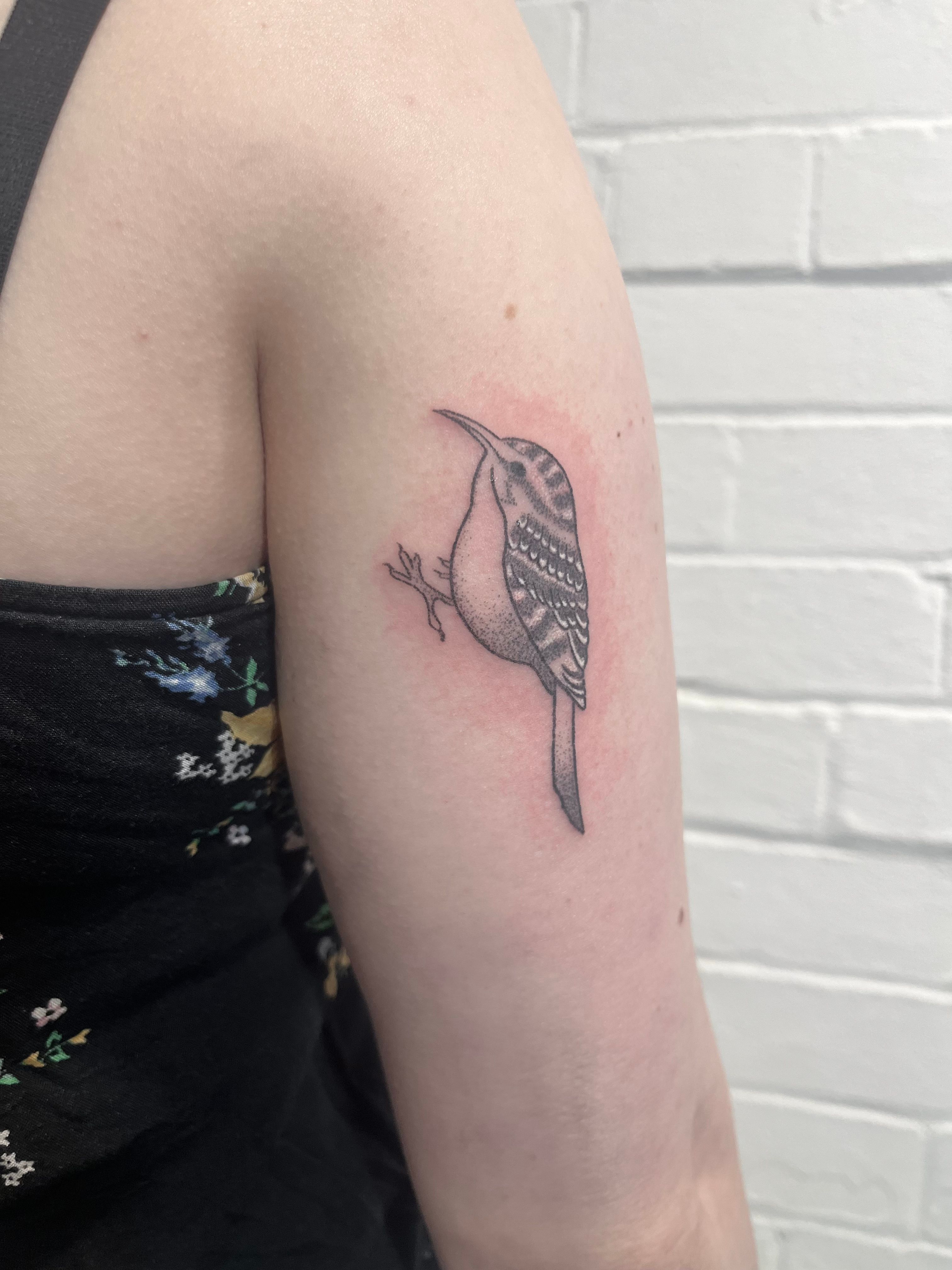 Bird Fly Tattoo on Arm - Best Tattoo Ideas Gallery
