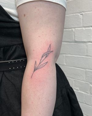Explore the delicate art of fine line hand poke tattoos by Marketa, where simplicity meets sophistication.