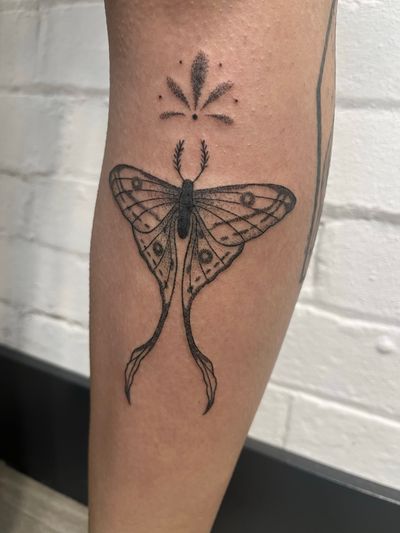 Capture the delicate beauty of a moth in this unique dotwork and hand poke tattoo by Marketa.handpoke.