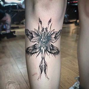Illustrative dragonfly, really loved this brief and getting to do something pretty different! My client sat like an absolute rock for their first tattoo!