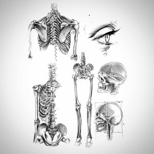 I love anatomy and Da Vinci so naturally I am dying to tattoo these!