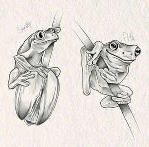 Cutie frogs looking for homes!