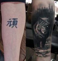 Wolf
