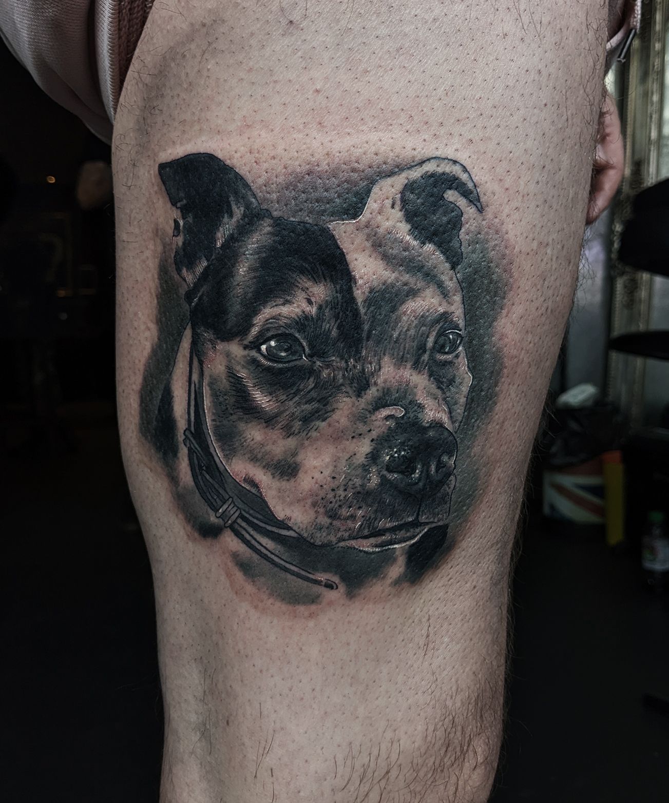 Realistic Dog Portrait Tattoo • Tattoodo