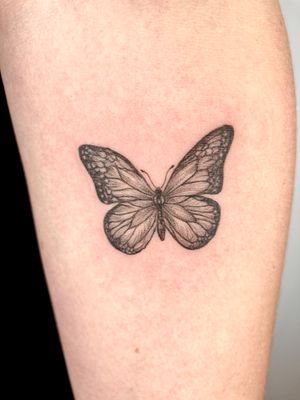 Tiny microrealistic butterfly