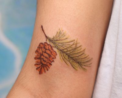 Floral tattoo : pine needles and pine cones