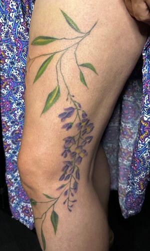 Purple Wisteria plant to cover some scars