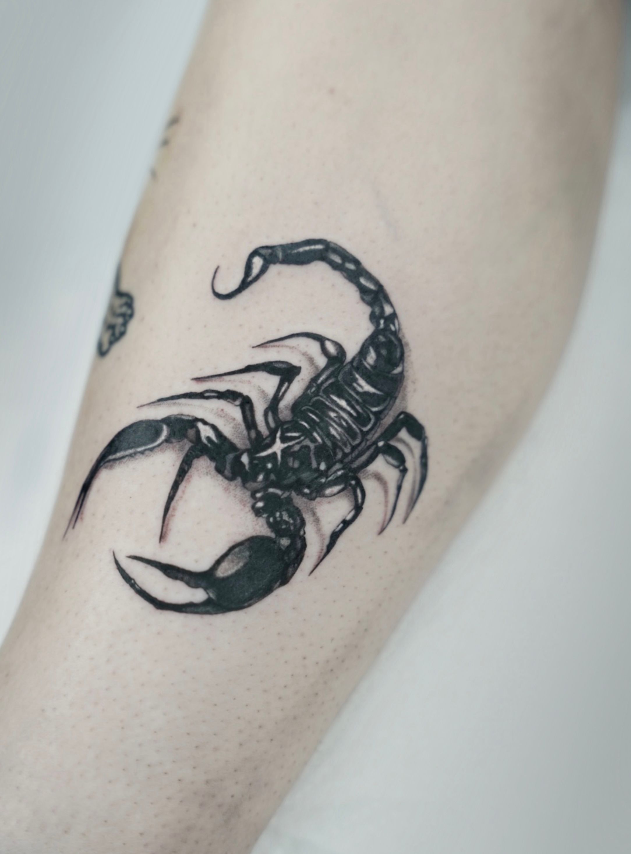 Snake Tattoo by Carlos Torres : Tattoos