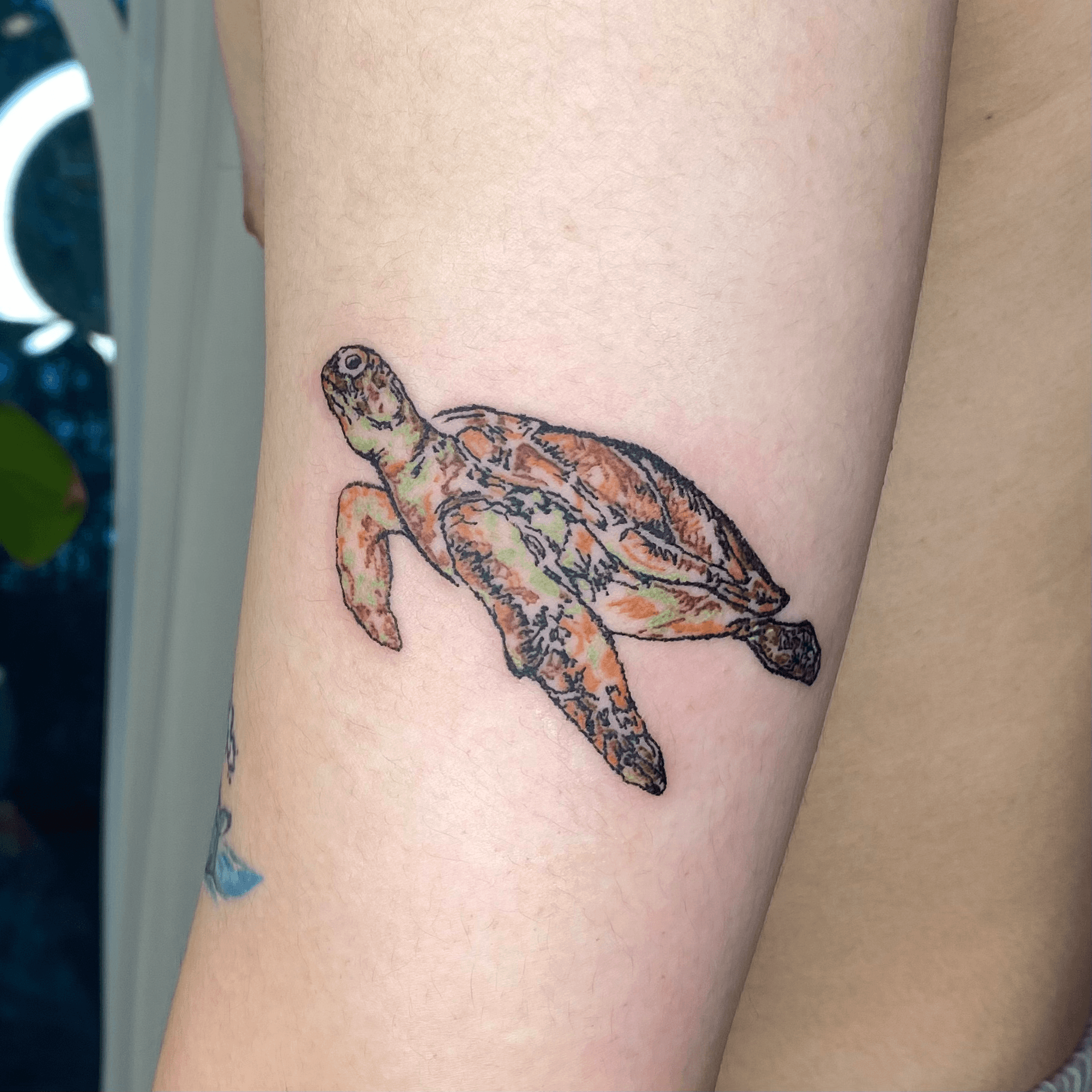 Elegant Land Turtle Tattoo Design