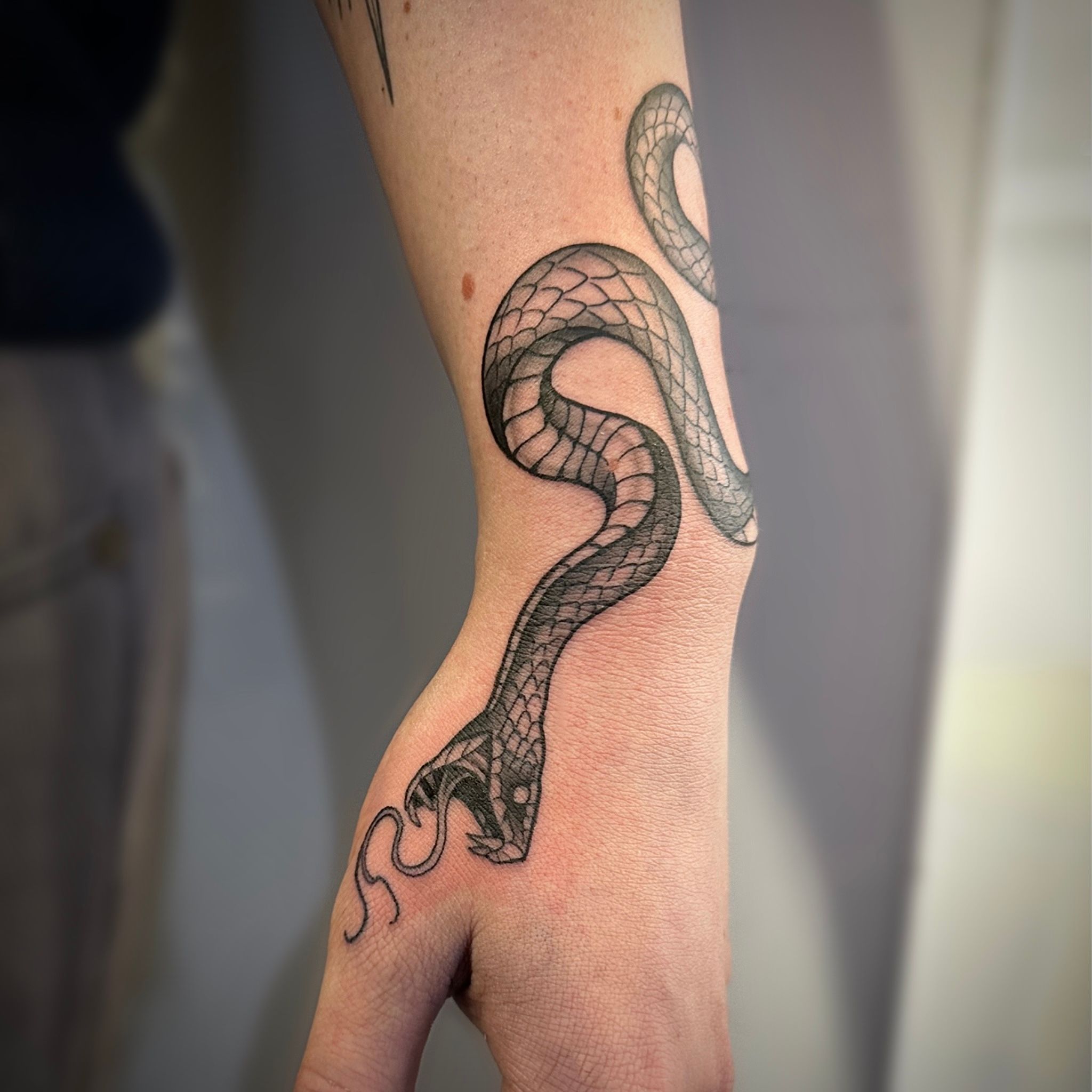 little snake for @maddymosk_ ! hope everyone had great holidays ✨🫶 #tattoo  #blackworktattoo #neotraditional #tattoos #calgarytatto... | Instagram
