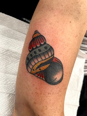 Get a unique traditional snail tattoo by the talented artist Clara Colibri. Express your love for nature in a timeless style.