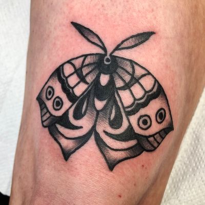 Capture the beauty of a moth with this timeless traditional tattoo design by renowned artist Clara Colibri. Perfect for those who appreciate classic tattoo art.