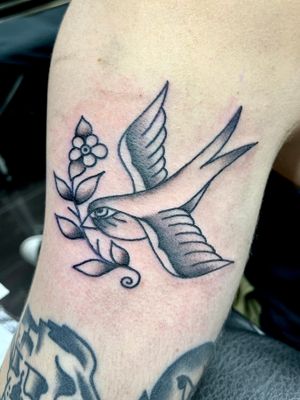 Get a timeless traditional swallow tattoo done by renowned artist Clara Colibri, known for her expert work in classic tattoo styles.