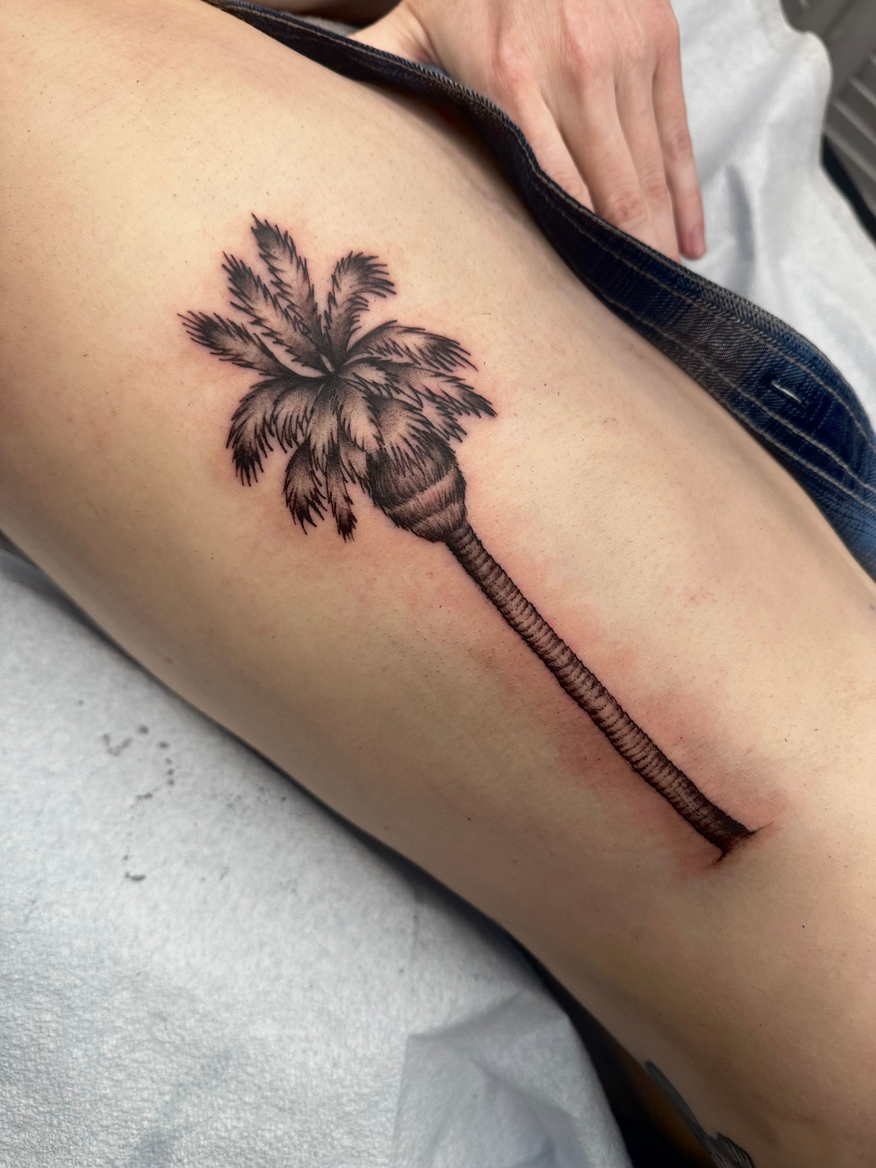19 top Simple Palm Tree Tattoo Ideas ideas in 2024