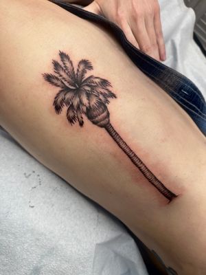 Capture the essence of tropical paradise with a black and gray palm tree tattoo by Miss Vampira. Perfect for those who seek a serene and exotic touch in their body art.