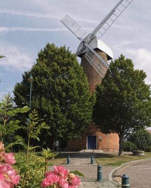 We are located right next to Rayleigh windmill! 