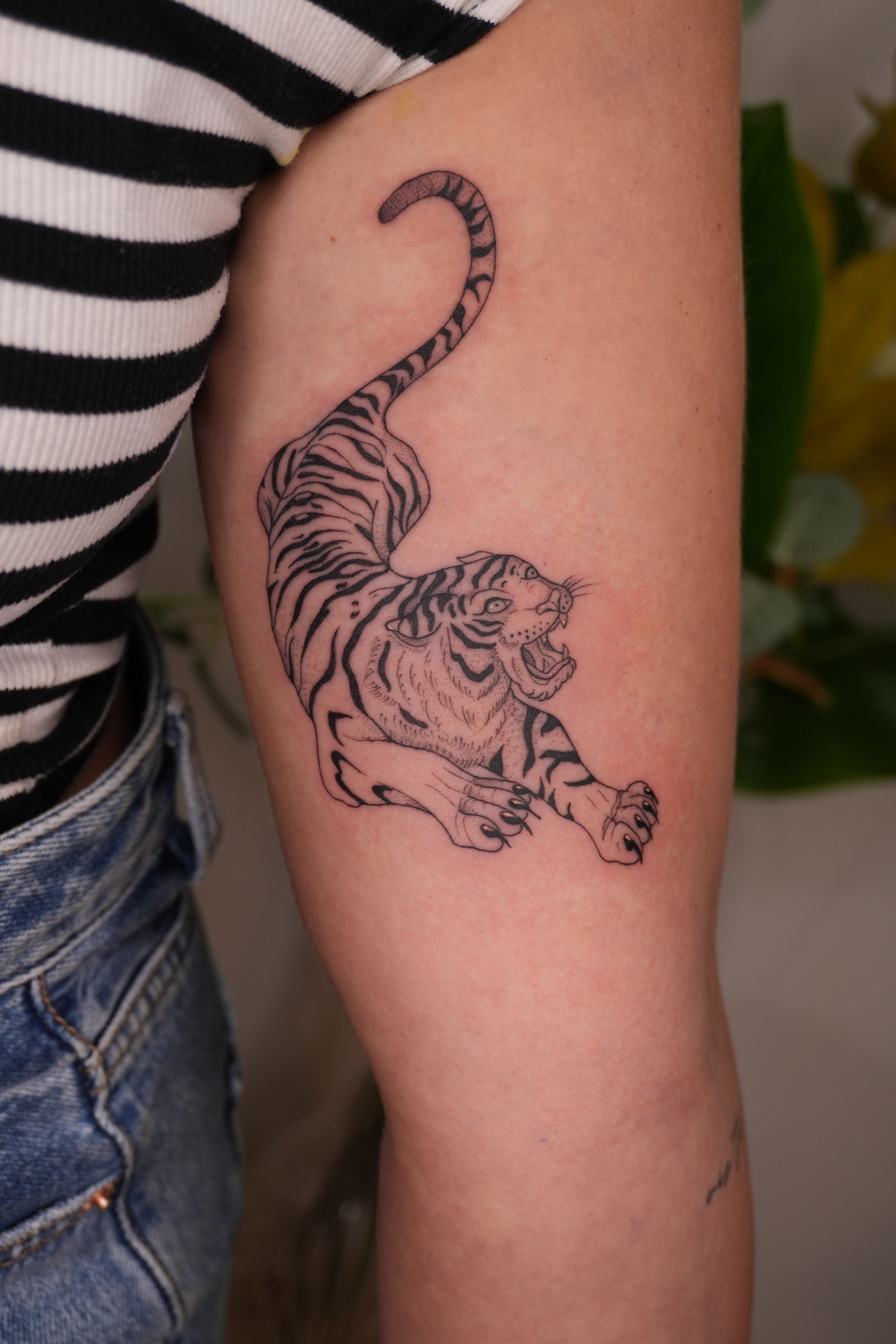 Tiger by Victor Melendez from Tattly Temporary Tattoos – Tattly Temporary  Tattoos & Stickers