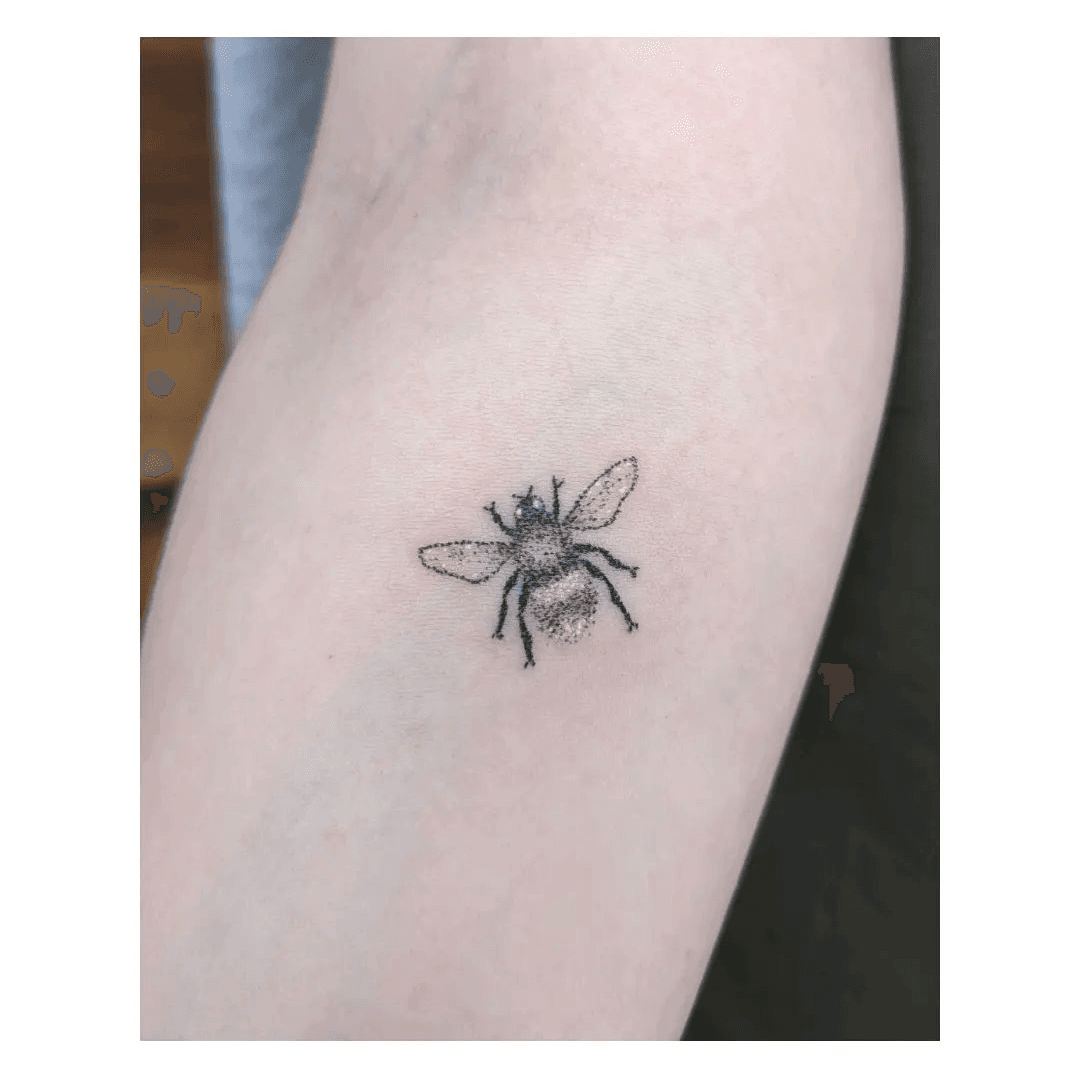 Honey Bee Temporary Tattoo - Set of 3 – Little Tattoos