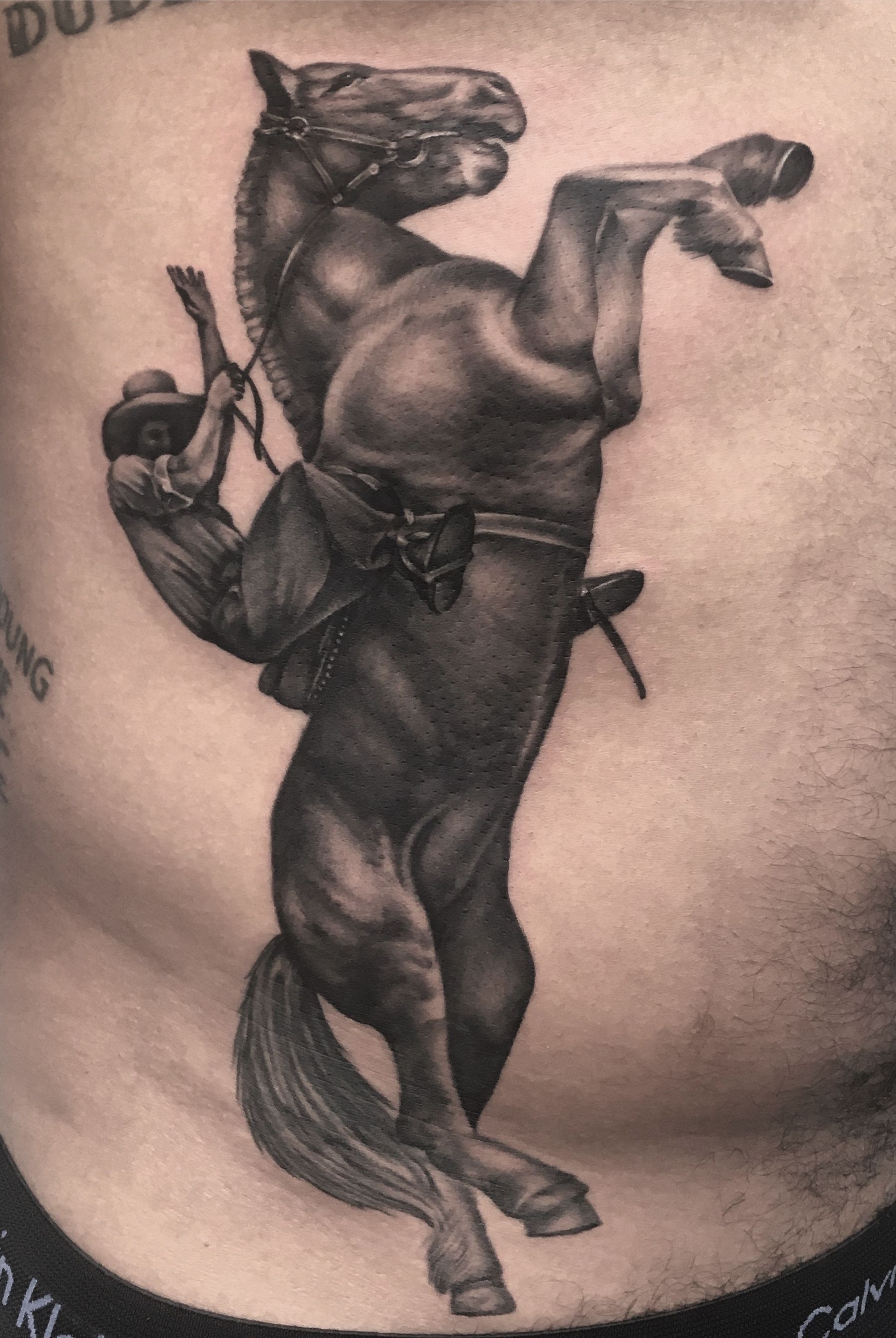 Primal Scream Tattoo - Done by Tino #tattoo #tattoos #horse #horsetattoo  #girlswithtattoos #girlytattoo #blackwork #linework #lineworktattoo  #tattooedwomen #feathertattoo #flowertattoo #instatattoo #kitzingen  #würzburg #schweinfurt #bamberg #nürnberg ...