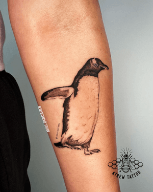Blackwork / Fine line Penguin tattoo by Kirstie at KTREW Tattoo - Birmingham UK #penguintattoo #penguin #blackwork #finelinetattoo #fineline #blackworktattoo #forearmtattoo