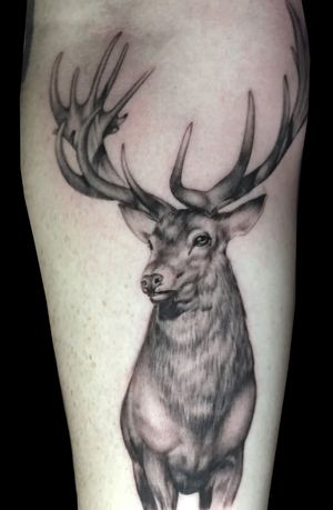 Capture the beauty of nature with this stunning black and gray deer tattoo by Pete Bienge. Perfect for nature lovers and wildlife enthusiasts.