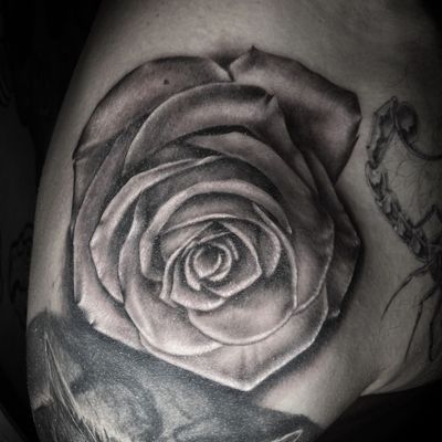 Experience the beauty of a meticulously detailed black & gray rose tattoo by renowned artist Pete Bienge.