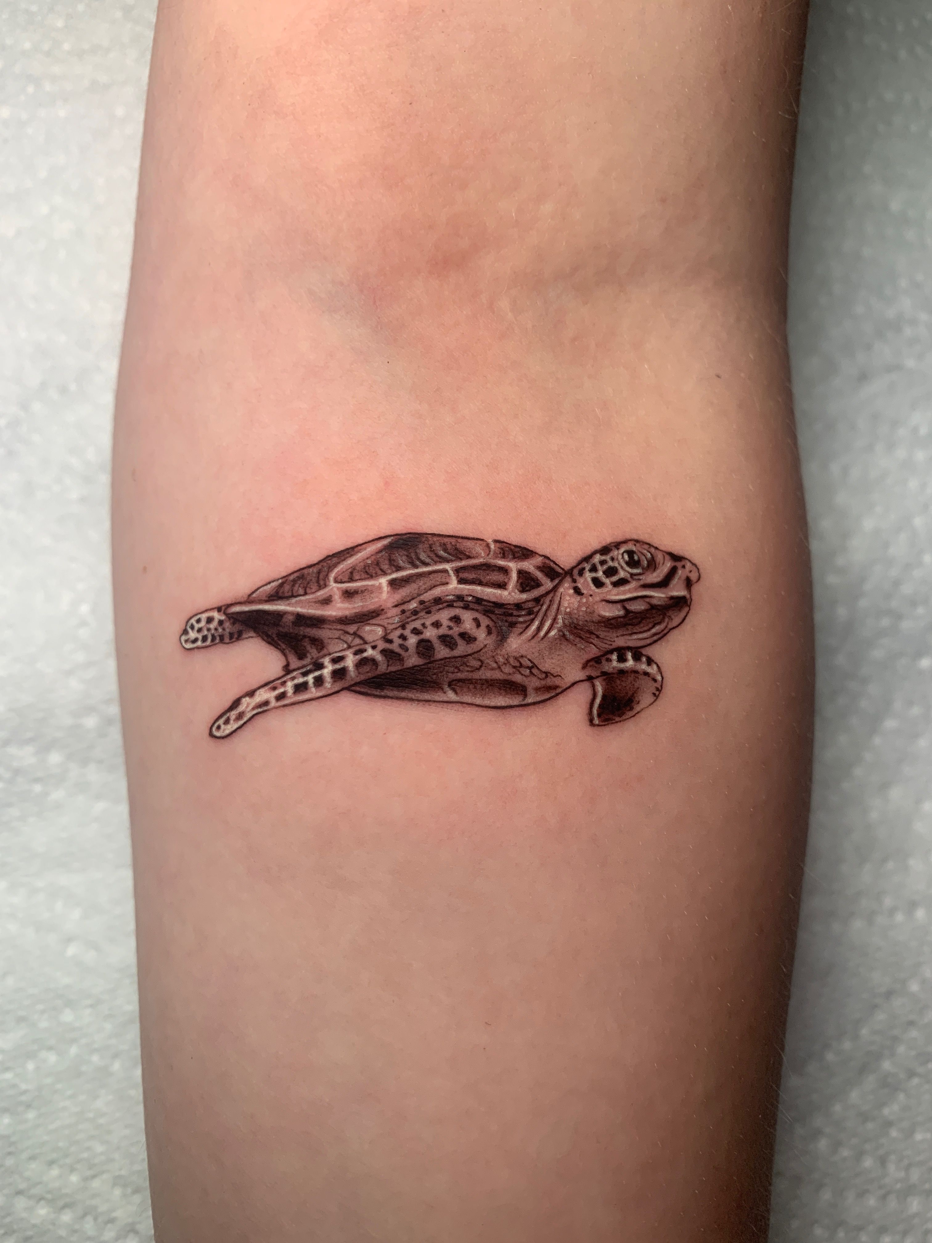 Vector Genius Tropical Tribal Tattoo Sea Turtle Art Print by Vector Genius  | Society6