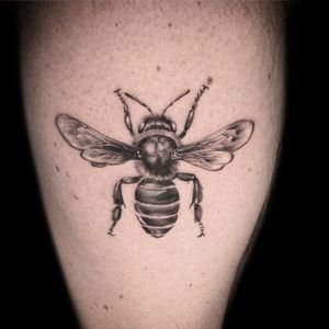 The Manchester worker bee
