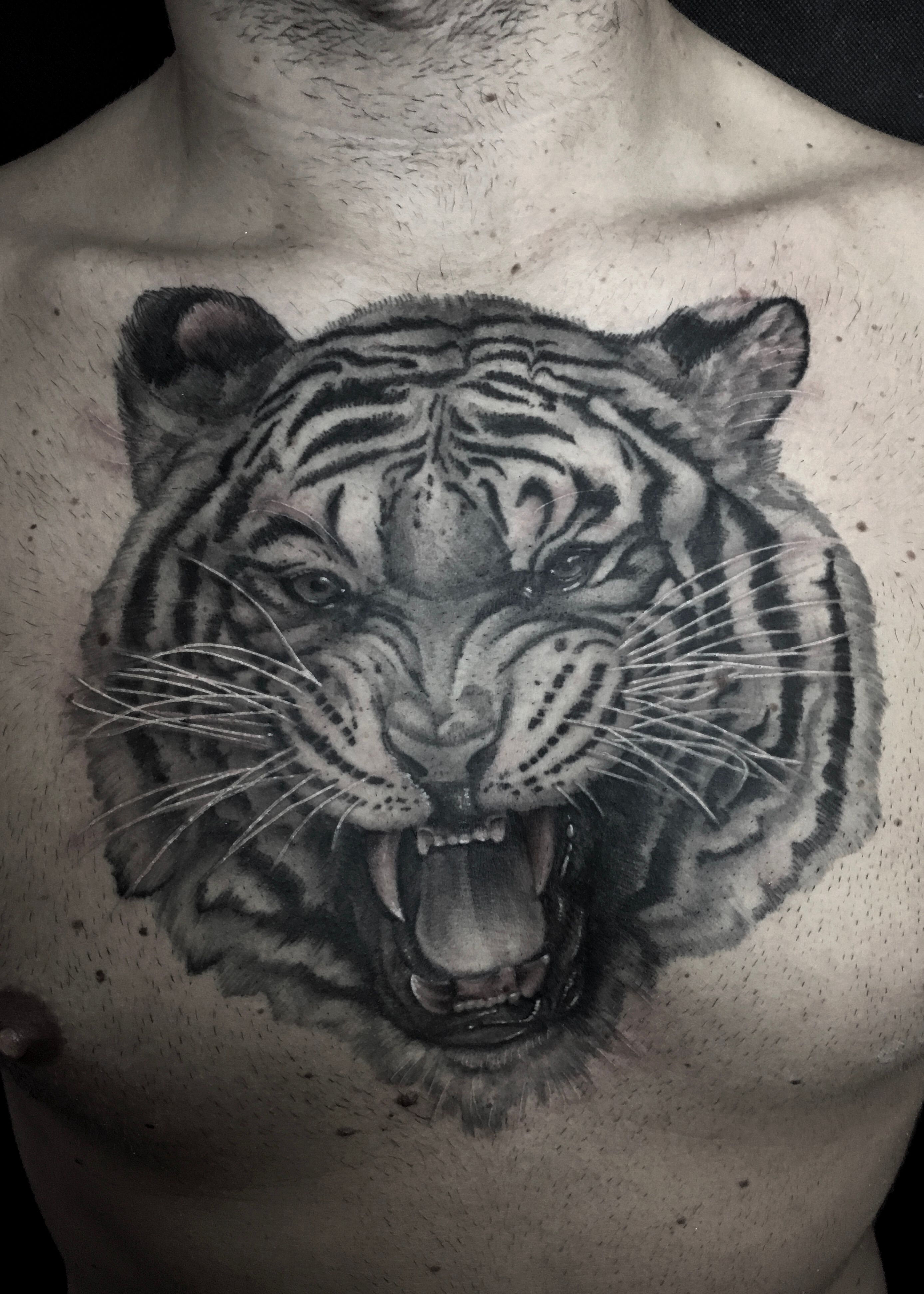 Tattoo uploaded by Jason June • Tiger/bamboo arm and chest panel  #KingsAvenueTattoo #jasonjunetattoos #jasonjune #tiger • Tattoodo