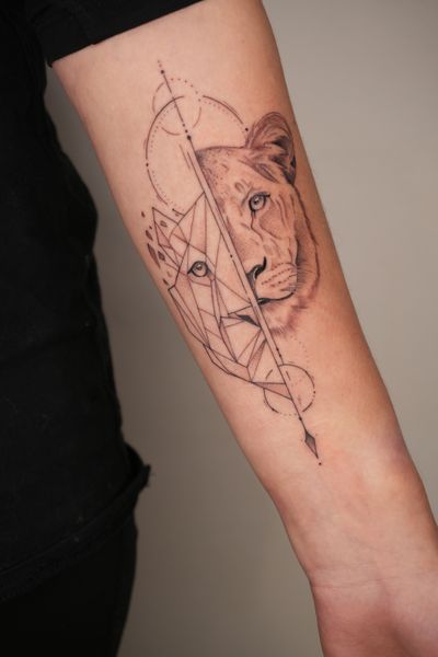 Fine line and dotwork style tattoo of a lion, meticulously designed by Lucas Scardua.