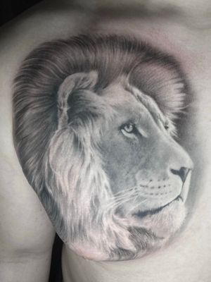 Get a stunning black and gray lion tattoo done in a realistic style by the talented artist Pete Bienge.