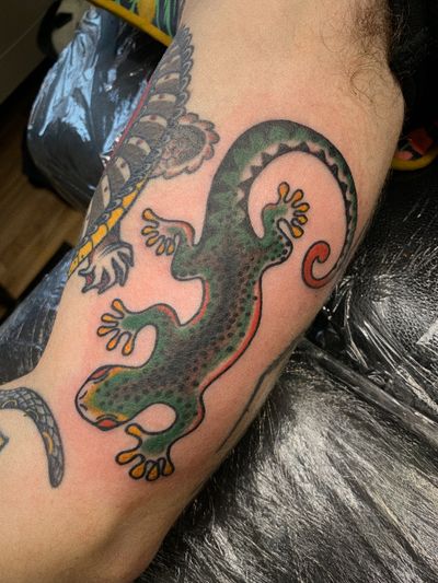 Get a beautifully detailed traditional gekko tattoo done by the talented artist Laurel, showcasing intricate design and vibrant colors.