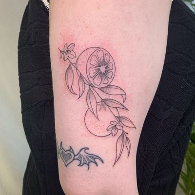 Get a fresh and stylish fine line orange tattoo done by Chloe Hartland, perfect for fruit lovers looking for a minimalist design.