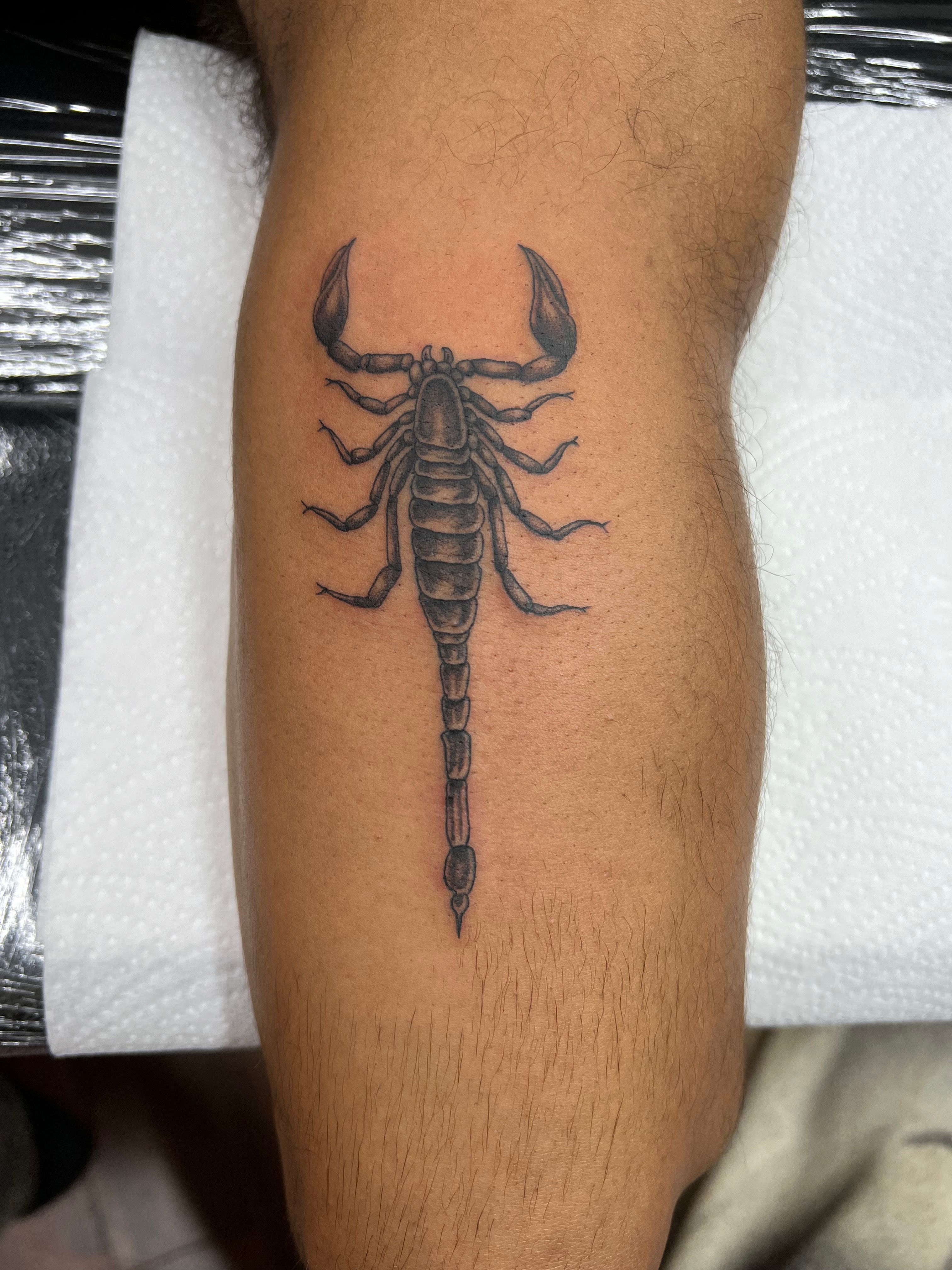 3 scorpion tattoos by @linahsiaotattoo #kingsavetattoo #linahsiao #scorpion  #scorpio #scorpiotattoos #scorpiotattoo #scorpiontattoos #... | Instagram