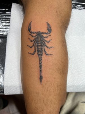 Get inked with a stunning scorpion design crafted in illustrative style by the talented artist Clayton Jeremiah.
