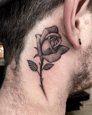 Micro realism rose behind the ear. Black and grey